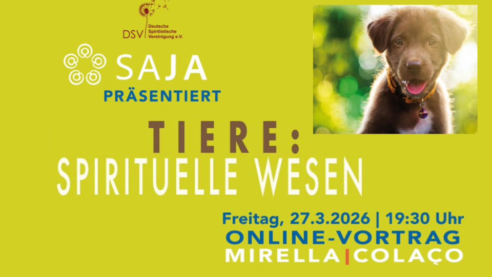 SAJA - Capas para Youtube - Modelo de Slides.pptx (26)